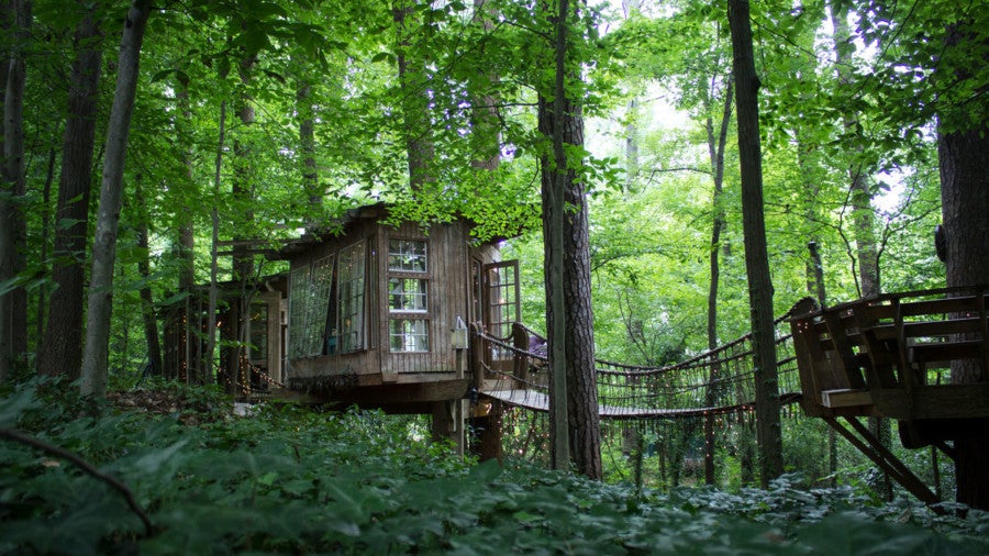Airbnb photo: Treehouse in Belize City